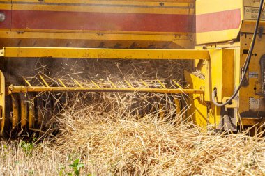 Tarım işi. Saman hasadı. Traktör balyalara saman topluyor. Yüksek kalite fotoğraf
