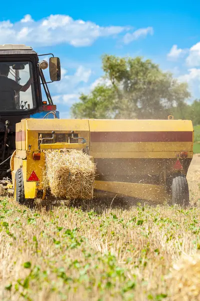 Traktörü balyalarla tarlada saman yapıyor. Bulutlu mavi bir gökyüzü var. Makineleri takip eden kuş sürüleri yiyecek ararlar. Yüksek kalite fotoğraf