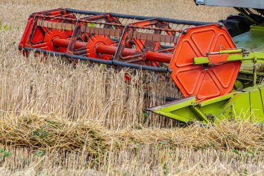 Hasat makinesi ya da hasat makinesi, arkasında güneş ve mavi gökyüzü olan bir buğday tarlasında birleşir. Yüksek kalite fotoğraf
