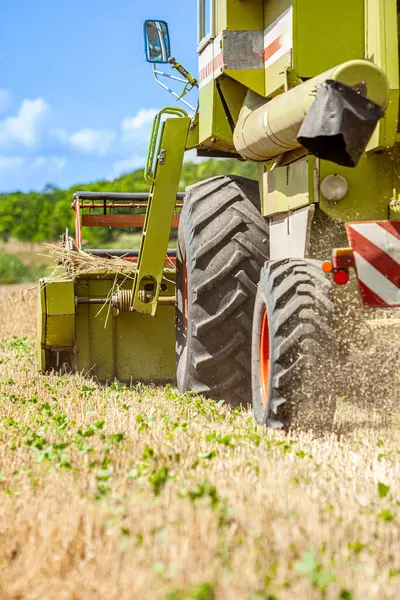 Buğday tarlası hasat eden hasatçıyı ve muhteşem günbatımı gökyüzünü birleştirin. Yüksek kalite fotoğraf