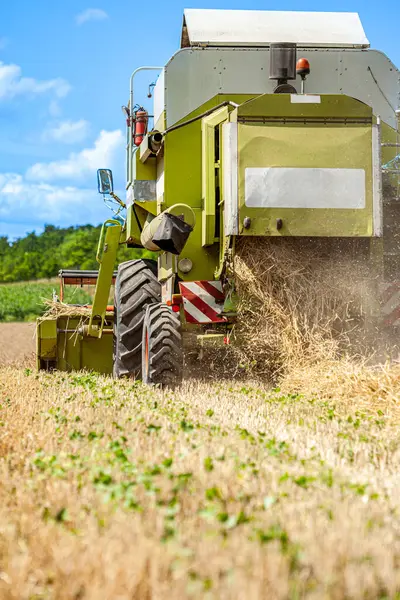 Hasat makinesi olgunlaşmış buğdayı temizler. Tarım işi, tarlada tahıl hasadı. Yüksek kalite fotoğraf