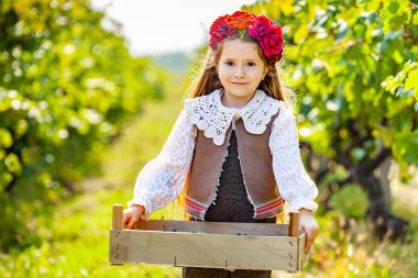 Multiethnic woman, experienced vine grower, vintner, viticulturist holding a wooden crate with fresh autumn harvest of organic grapes and cutely smiles looking at the camera. Viticulture. Agribusiness