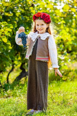 Üzüm yaprakları. Dışarıda üzümlü mutlu küçük kız. Üzümlü bir çocuk. Beyaz şarap olgunlaşmış üzümlerde gülümseyen güzel bir kız. Şarap hasadı konsepti. Yüksek kalite fotoğraf
