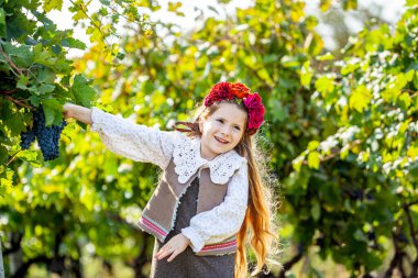 Üzüm bağları arasında beyaz şarap içen bir kız. Lavaux, İsviçre. Yüksek kalite fotoğraf