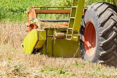 Hasat makinesi ya da hasat makinesi, arkasında güneş ve mavi gökyüzü olan bir buğday tarlasında birleşir. Yüksek kalite fotoğraf