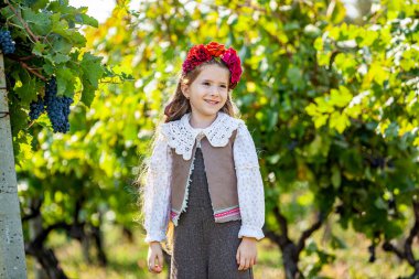 Mutlu Asyalı kız gezgin, Asyalı gezgin sonbahar hasadında üzüm bağlarında duruyor. Sonbahar hasadında gün batımında üzüm bağları. Sonbaharda olgun üzümler. Yüksek kalite