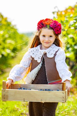 Multiethnic woman, experienced vine grower, vintner, viticulturist holding a wooden crate with fresh autumn harvest of organic grapes and cutely smiles looking at the camera. Viticulture. Agribusiness