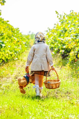 Uzun sarı saçlı, şapkalı ve şık elbiseli bir kız bir tepede sırtı kameraya dönük bir şampanya bardağıyla oturuyor. Yanında meyve sepeti var. Yüksek kalite fotoğraf