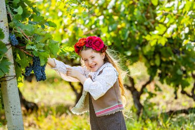 Üzüm yaprakları. Dışarıda üzümlü mutlu küçük kız. Üzümlü bir çocuk. Beyaz şarap olgunlaşmış üzümlerde gülümseyen güzel bir kız. Şarap hasadı konsepti. Yüksek kalite fotoğraf