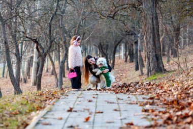 Gün batımında, tüylü beyaz köpek olan en iyi arkadaşlarıyla yürürken iki güzel kızın fotoğrafı. En mutluları ve sağlıklı bir yaşam tarzları var. Yüksek kalite fotoğraf