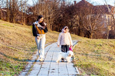 Resim çok güzel bir parkta çekildi. Şimdi yeşile dönüyordu ve güneş parlıyordu. Kızlar beyaz köpekleriyle oynuyorlardı ve çok mutluydular. Yüksek kalite