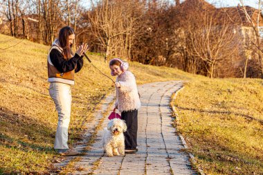 Sert bir kışın ardından yeşile dönen çok güzel bir parkta beyaz safkan bir köpekle yürüyen iki kızın resmi. Kızlar köpeği okşar, okşar. Yüksek kalite fotoğraf