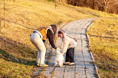 Birlikte olduğumuz için şanslıyız. Ailesi arkada yürürken köpekle koşan ve gülümseyen sevimli küçük bir kız. Yüksek kalite fotoğraf