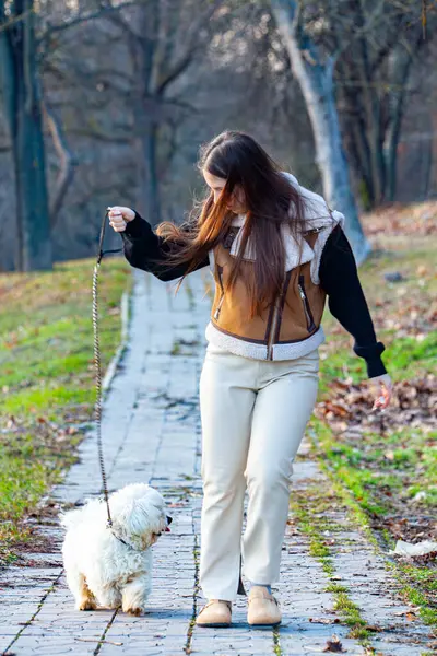 Elinde bir fincan kahve ve parkta şirin bir Jack Russel teriyeri olan genç bir kadın. Yüksek kalite fotoğraf