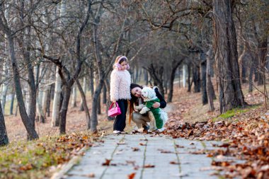 Yürüyen ve beyaz yakalı köpekleriyle oynayan iki küçük kızın resimleri en mutlu ve en neşelileriydi. Köpeklerle yürümek en sağlıklı insan faaliyetlerinden biridir. Yüksek kalite