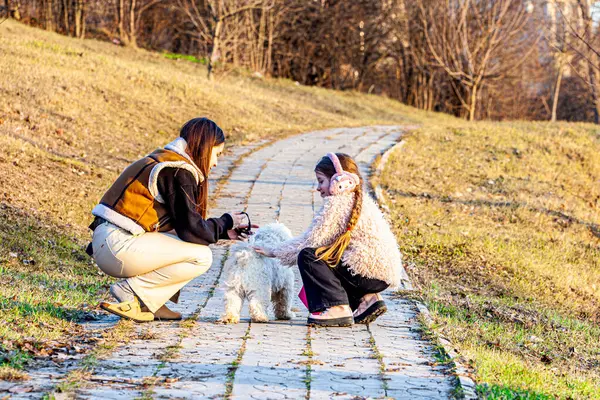 Çok güzel bir güneşle bir bahar günü, iki kız çok güzel beyaz bir köpekle yürürken şaşırdılar. Kızlar böyle bir hayvan arkadaşa sahip oldukları için çok mutluydular. Yüksek kalite