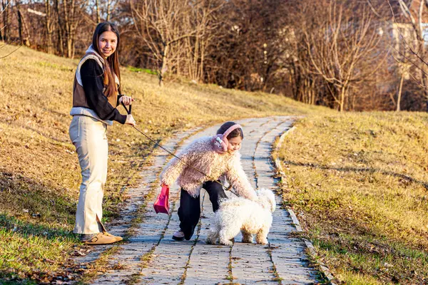 Sert bir kışın ardından yeşile dönen çok güzel bir parkta beyaz safkan bir köpekle yürüyen iki kızın resmi. Kızlar köpeği okşar, okşar. Yüksek kalite fotoğraf