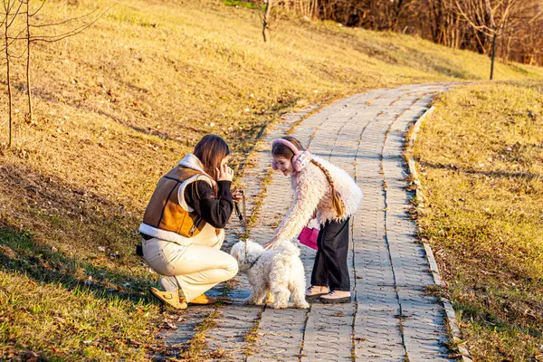 Sert bir kışın ardından yeşile dönen çok güzel bir parkta beyaz safkan bir köpekle yürüyen iki kızın resmi. Kızlar köpeği okşar, okşar. Yüksek kalite fotoğraf
