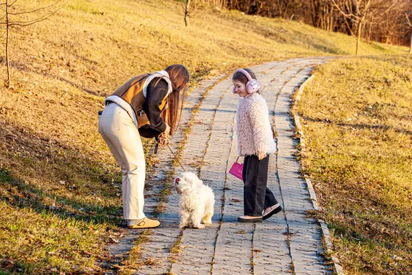 Güneşli bir bahar günündeki resim, iki kızın beyaz saçlı bir köpekle parkta dolaşırken el ele tutuşup yeşillenmeye başladıklarını gösteriyor. Yüksek kalite fotoğraf