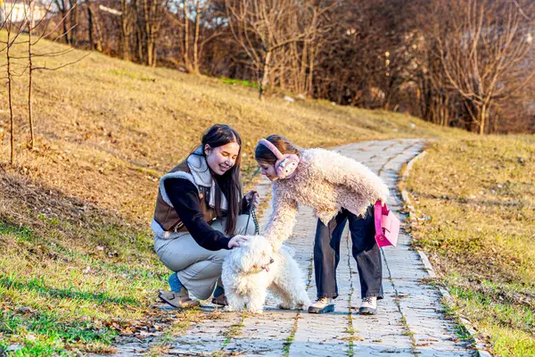Doğanın koynunda güzel bir manzara parkın en güzel beyaz köpeğini gezdirirken iki güzel kızı yakaladı, çok mutlu ve heyecanlıydılar. Yüksek kalite fotoğraf