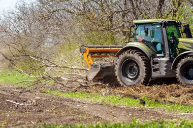 Orman temizliği konusunda uzmanlaşmış bir traktörün resmi tüm ağaçları ve çalıları yok etme sürecinde. Ormanların tahrip edilmesini durdurun. Doğayı yok eden büyük bir traktörün resmi. Yüksek kalite