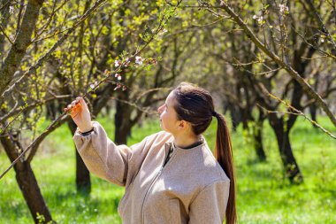 Bahçede çiçek açan kiraz ağaçlarını inceleyen dişi tarım uzmanı ya da çiftçi, ellerinde koruyucu eldivenler, yüzünde maske, korona virüsü ve alerji ile korunuyor. Yüksek kalite fotoğraf