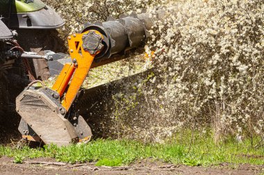 Ormandaki toprağı temizleyen orman gübresi. Bitki örtüsü ve biyokütle yönetimi için kullanılan genel amaçlı araçları izledik. Yüksek kalite fotoğraf