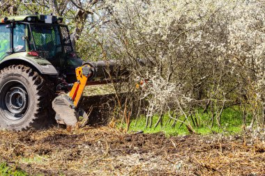 Orman temizliği konusunda uzmanlaşmış bir traktörün resmi tüm ağaçları ve çalıları yok etme sürecinde. Ormanların tahrip edilmesini durdurun. Doğayı yok eden büyük bir traktörün resmi. Yüksek kalite