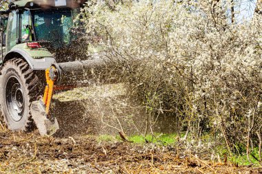 Orman temizliği konusunda uzmanlaşmış bir traktörün resmi tüm ağaçları ve çalıları yok etme sürecinde. Ormanların tahrip edilmesini durdurun. Doğayı yok eden büyük bir traktörün resmi. Yüksek kalite