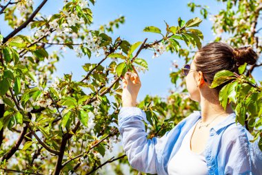 Kiraz bahçesindeyken çok güzel bir genç bayanın fotoğrafı ve çok güzel gülümsüyor. Kız mavi gömlekli ve gözlüklü. Kız çiçek açan meyve bahçesinde poz veriyor.