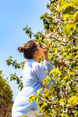 Kiraz bahçesine hayran olan ve bu hoş kokuyu koklamaya çalışan özel ve güzel bir bayanın çok güzel bir portresi. Parlak ve sıcak bir dönem. Doğa bize bu sahneyi sunar.