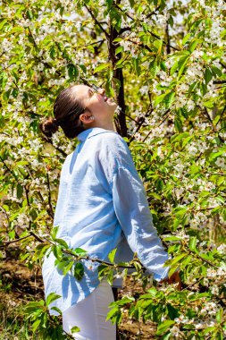 Kiraz bahçesindeyken çok güzel bir genç bayanın resmi ve çok güzel gülümsüyor. Küçük kız yakalı mavi gömlekli. Kiraz çiçeğinin kokusunu alır.