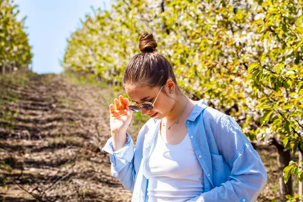 Çiçeklerle dolu bir kiraz bahçesinde poz veren çok çekici ve fotojenik genç bir bayanın resmi. Hava güneşli ve çok aydınlık. Meyve bahçesi çok bakımlı ve yeşildir. Yüksek