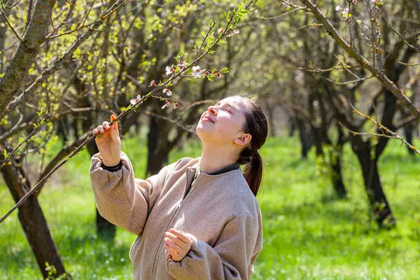 Güneşli bir günde badem çiçeklerine dokunmak. Badem ağacı dalını tutan kadın eli. Yüksek kalite fotoğraf