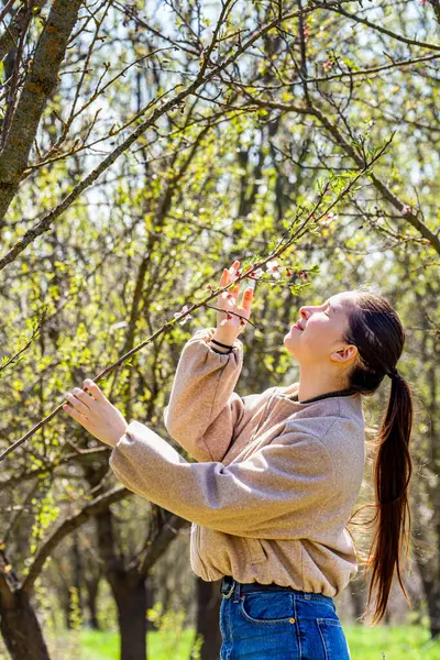 Bahar zamanı güneşli bir bahçede badem çiçeklerinin kokusunun tadını çıkaran genç bir kadın. Yüksek kalite fotoğraf