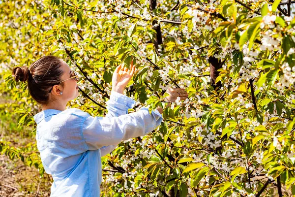 Kiraz bahçesine hayran olan ve bu hoş kokuyu koklamaya çalışan özel ve güzel bir bayanın çok güzel bir portresi. Parlak ve sıcak bir dönem. Doğa bize bu sahneyi sunar.