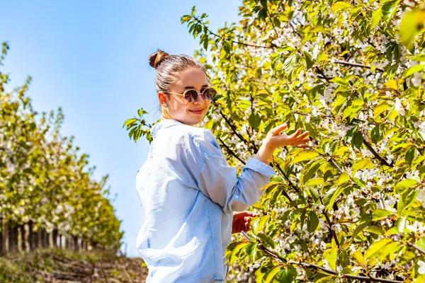 Özel ve güzel bir bayanın çok güzel bir portresi. Çiçekleri olan kiraz bahçesine ve çekici bir kokuya hayran kaldı. Parlak ve sıcak bir dönem. Doğa bize bu sahneyi sunar.