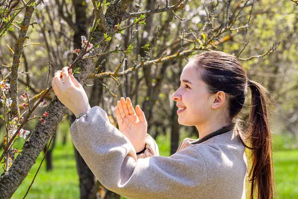 Kadın tarım uzmanı sıcak seradaki bitkileri tabletle inceliyor. Kırsal bölgelerdeki ağaçların kalitesini kontrol eden profesyonel tarım uzmanı. Tarım süreci tarım kavramı