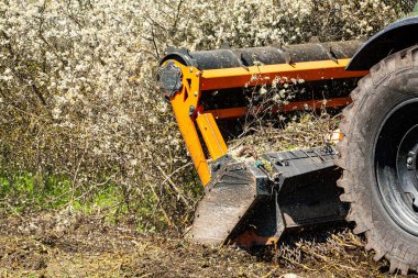 Ormandaki toprağı temizleyen orman gübresi. Bitki örtüsü ve biyokütle yönetimi için kullanılan genel amaçlı araçları izledik. Yüksek kalite fotoğraf