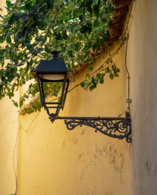 lantern with yellow wall and plants 