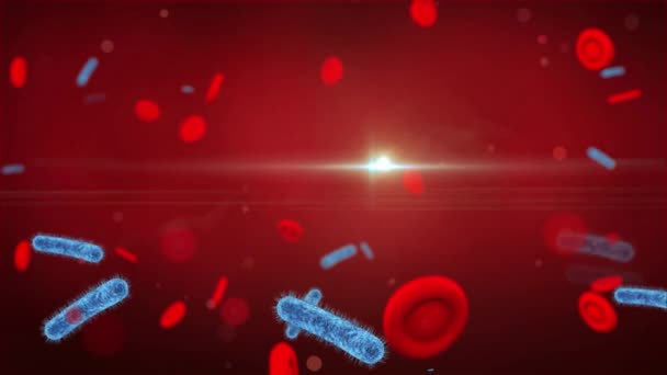 Animazione Virus Pantogeni Influenza Aviaria Hiv Ebola Dengue Virus Della — Video Stock