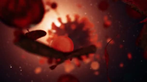 泛素病毒 禽流感 爱滋病毒 埃博拉病毒 登革热 电晕病毒或Covid 19以及其他对人类有危险的病毒的动画 — 图库视频影像