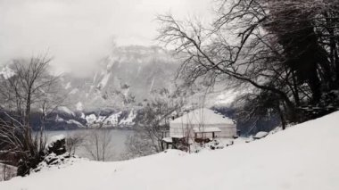 Geleneksel yurt - İsviçre Alpleri 'ndeki ormanda göçebeler için Asya evi. Kırgızistan veya Moğol yurdu