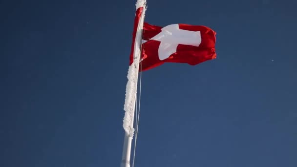 Szwajcarska Flaga Pokryta Śniegiem Lodem Machająca Wietrze Stabilny Strzał — Wideo stockowe