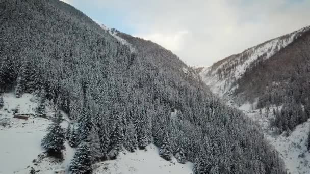 Leć Nad Majestatycznymi Szczytami Gór Śnieżne Góry Alpach Szwajcarskich Nagranie — Wideo stockowe