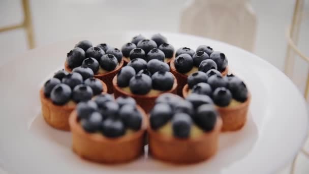 Tasty Homemade Blueberry Tart Plate Close Delicious Dessert Mini Tartlet — Stock Video