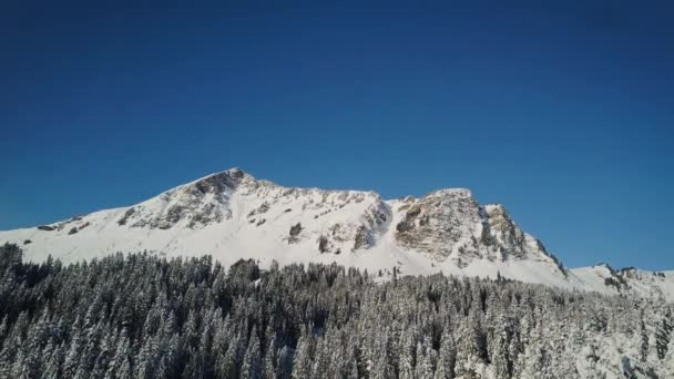 Ciekawy Widok Góry Sosen Pokrytych Śniegiem Pobliżu Zbocza Alpach Szwajcarskich — Wideo stockowe
