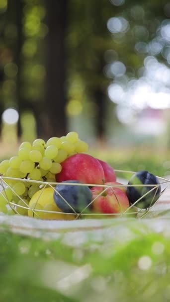 Outdoor Picnic Sunny Summer Day Fresh Apples Plums Grapes Front — Stock Video