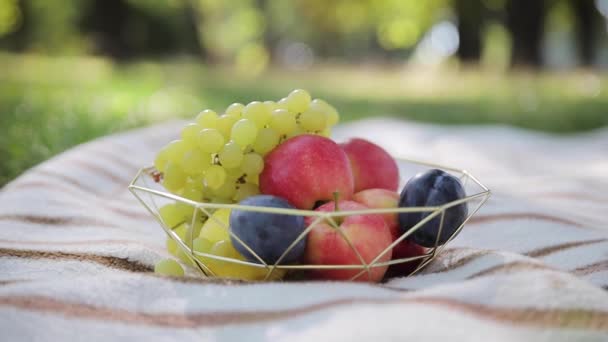 Vista Frontal Frutas Cesta Cobertor Grama Parque Piquenique Livre Dia — Vídeo de Stock