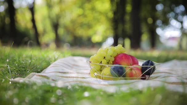 Piknik Świeżym Powietrzu Słoneczny Letni Dzień Świeże Jabłka Śliwki Winogrona — Wideo stockowe